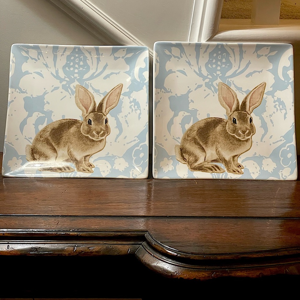 Set of Two-Rabbit Square Plates